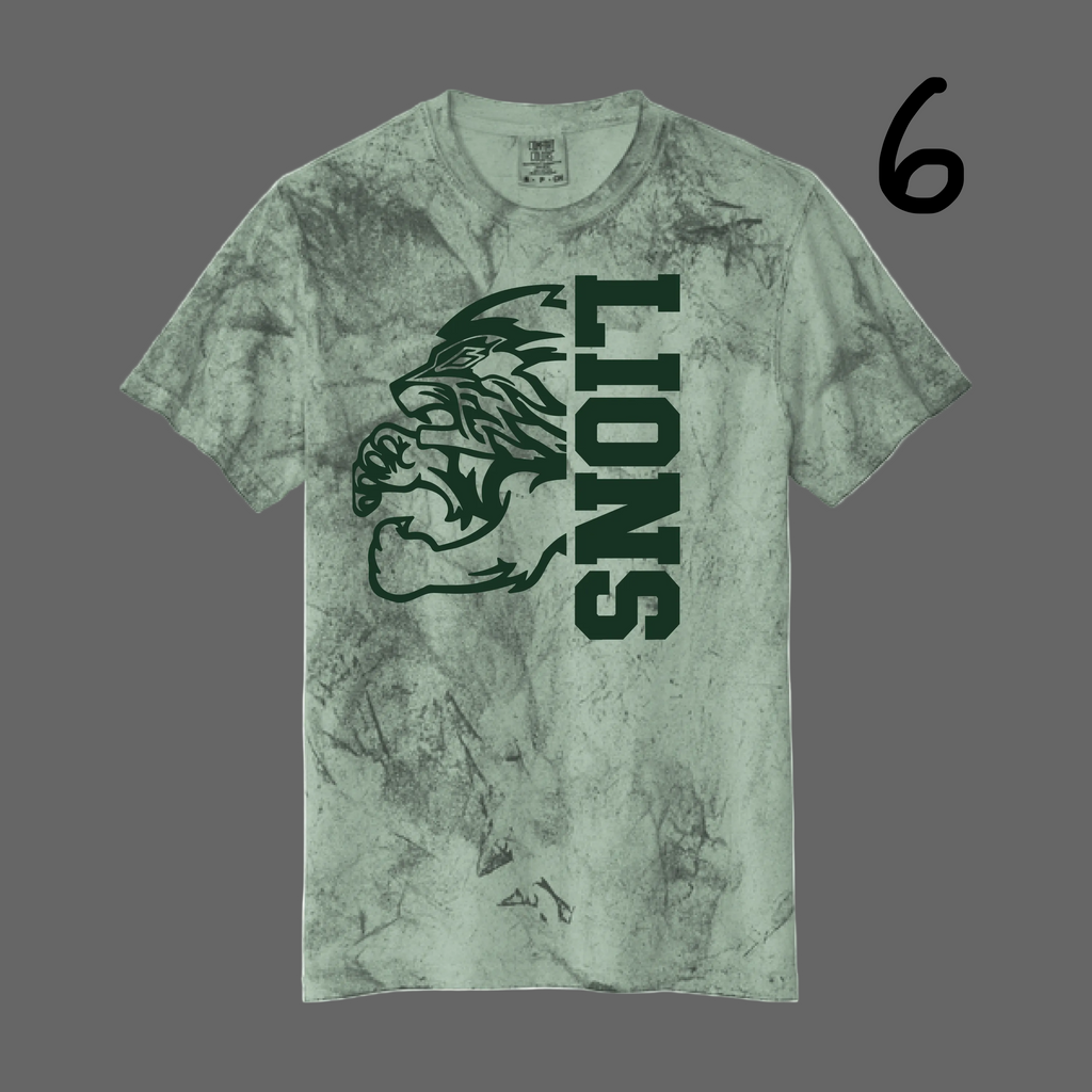 Heavyweight Color Blast Tee (FERN) - JHS Yearbook